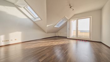 Das Haus