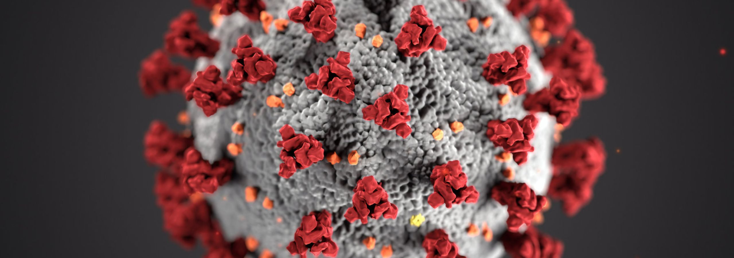 Verkauf einer Immobilie in Zeiten der Coronavirus-Krise?