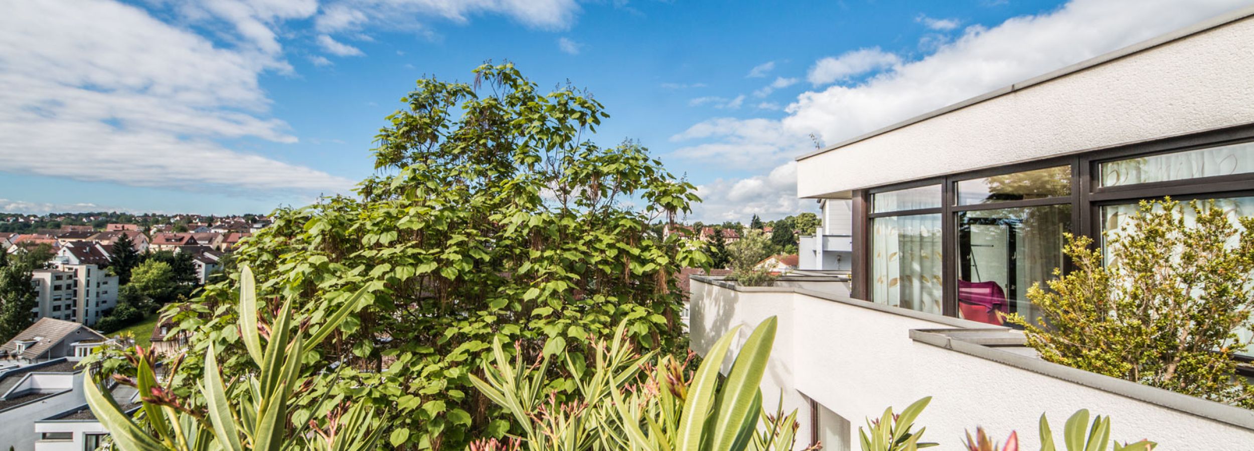 Senta Hoffmann Immobilienfotografie